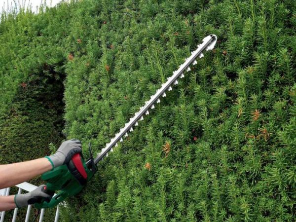 ® 650W Electric Hedge Trimmer - Image 3