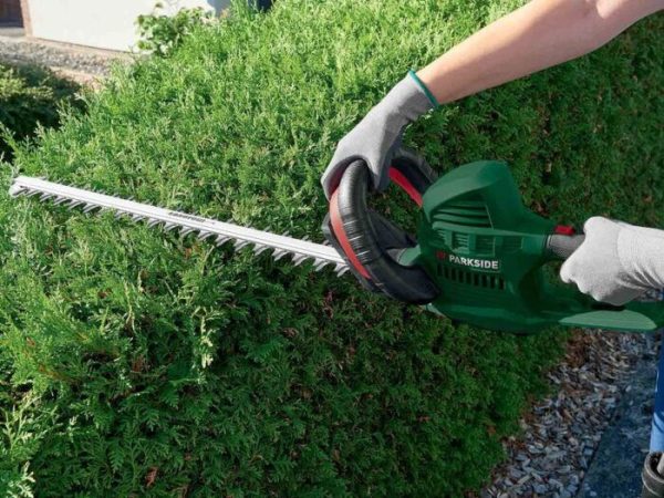 ® 650W Electric Hedge Trimmer - Image 2